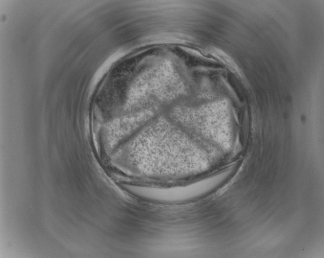 X0000075901188200610151808