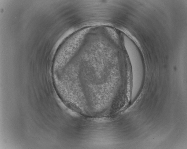 X0000075901189200610151808