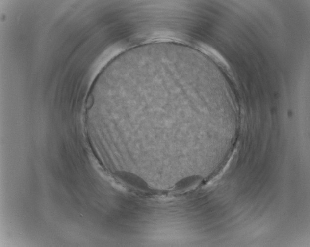 X0000075901190200610151808