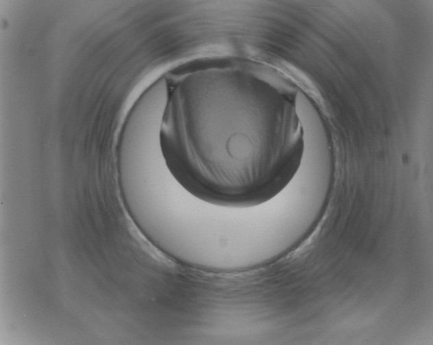 X0000075901192200610151808