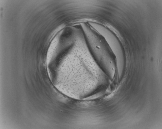 X0000075901193200610151808