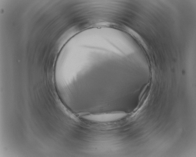 X0000075901194200610151808