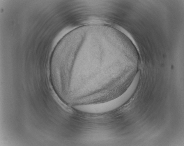 X0000075901195200610151808