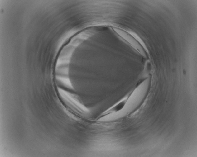 X0000075901197200610151808