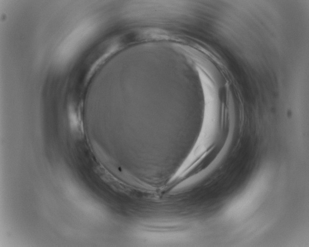 X0000075901198200610151808