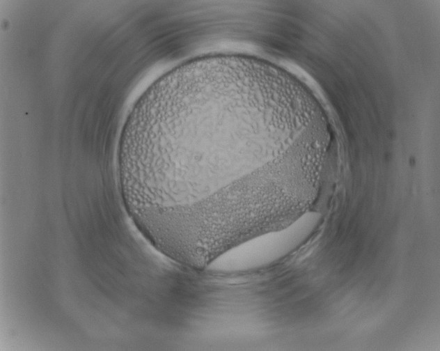 X0000075901199200610151808