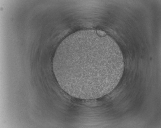 X0000075901201200610151807