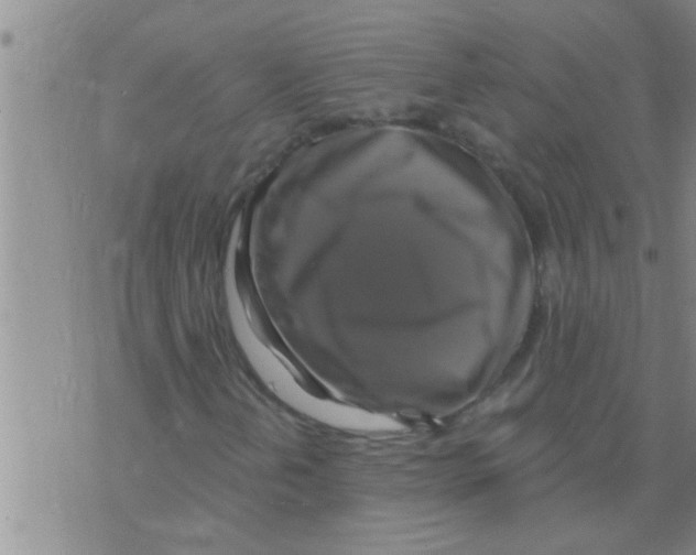 X0000075901202200610151807