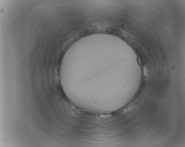 X0000075901203200610151807