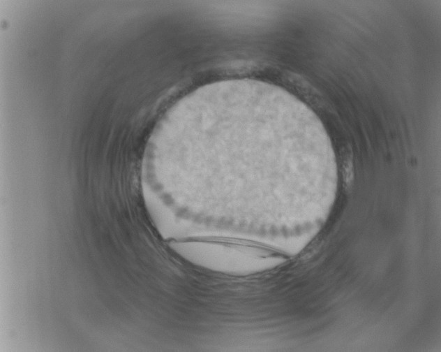 X0000075901204200610151807