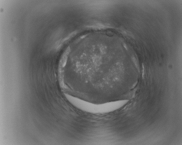 X0000075901205200610151807