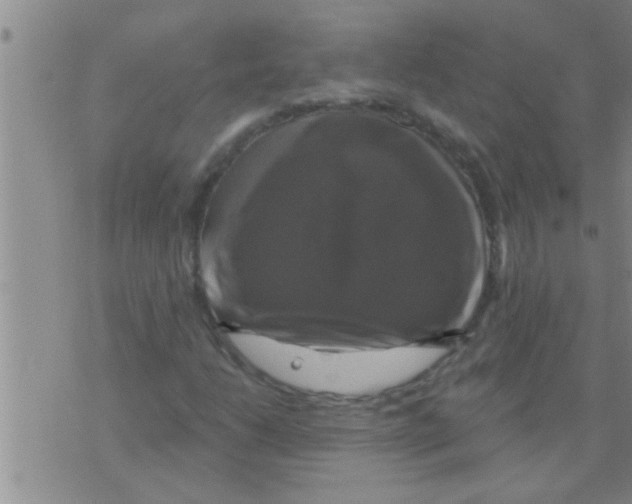 X0000075901206200610151807