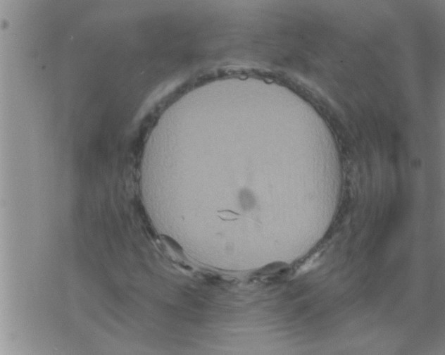 X0000075901207200610151807