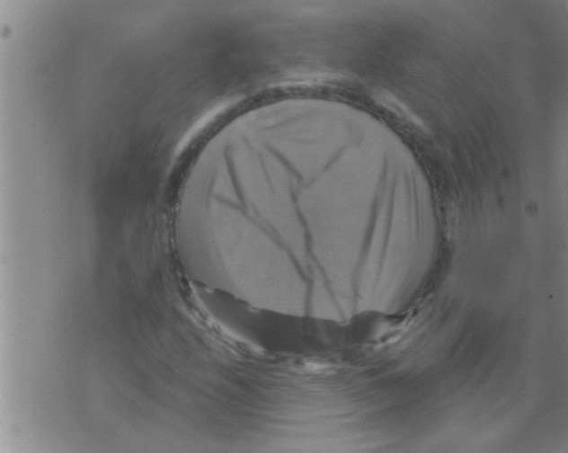 X0000075901208200610151807