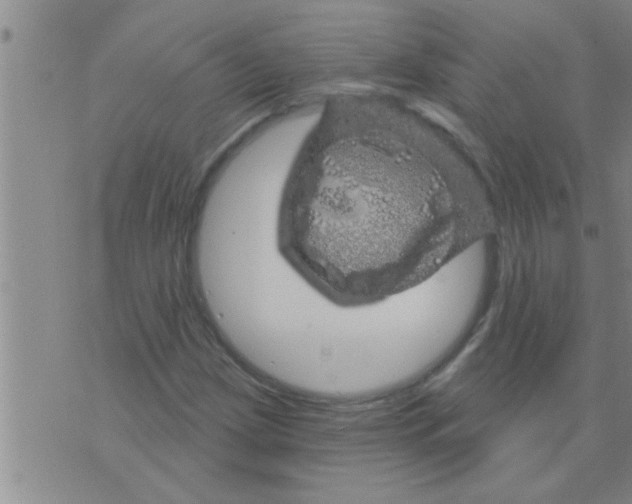 X0000075901209200610151808