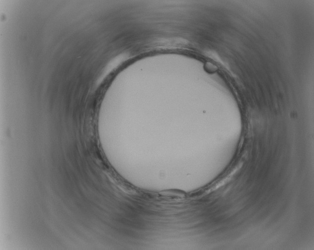 X0000075901211200610151808