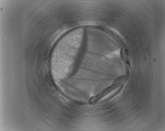 X0000075901212200610151808