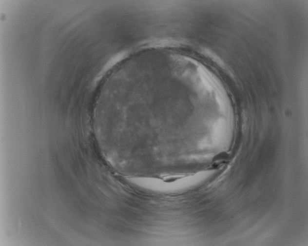 X0000075901213200610151808