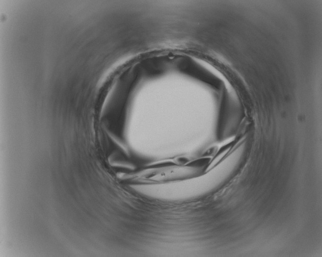 X0000075901214200610151808