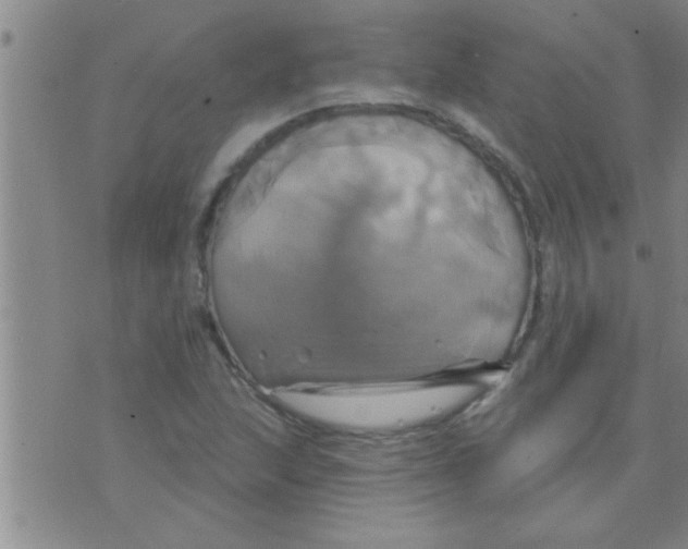 X0000075901215200610151808