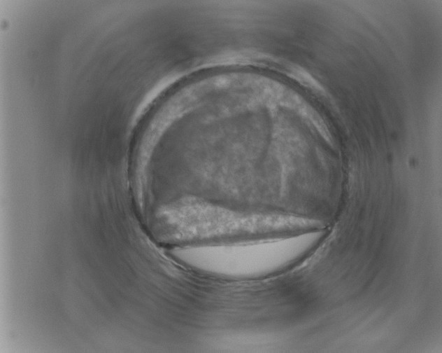 X0000075901216200610151808