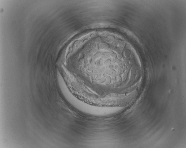 X0000075901217200610151808