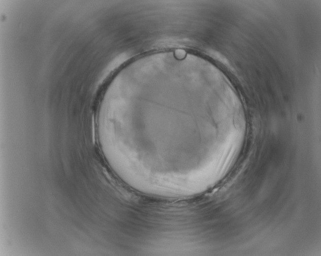 X0000075901219200610151808