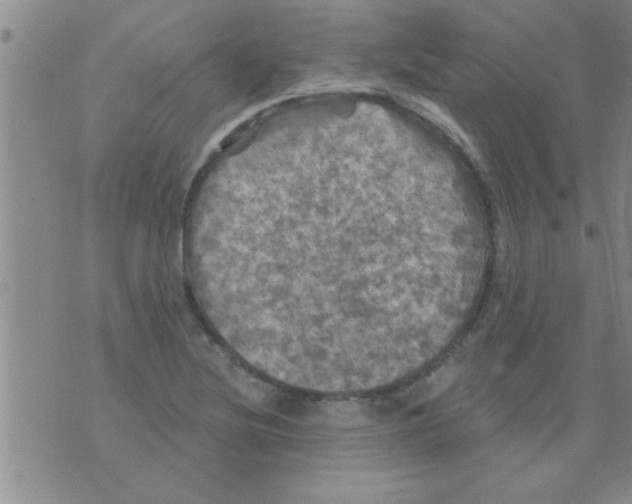 X0000075901220200610151808