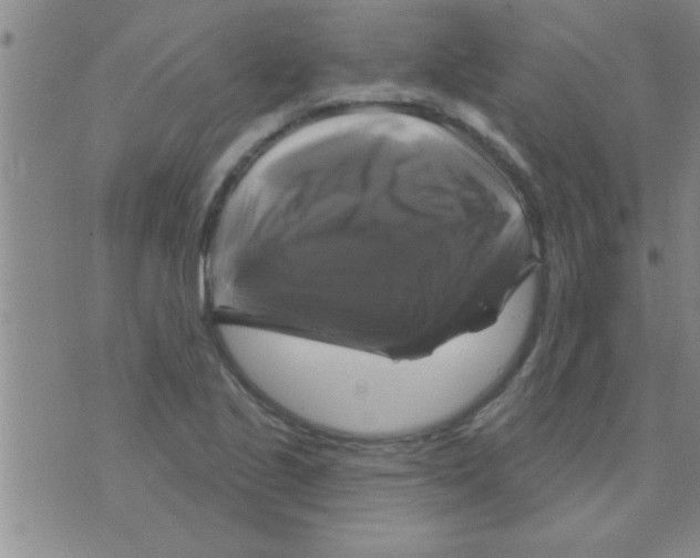 X0000075901221200610151808