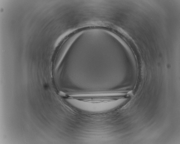 X0000075901222200610151808