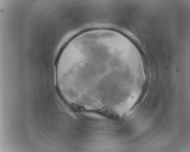 X0000075901223200610151808