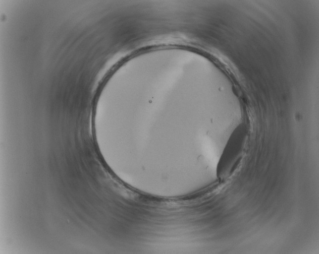 X0000075901224200610151808