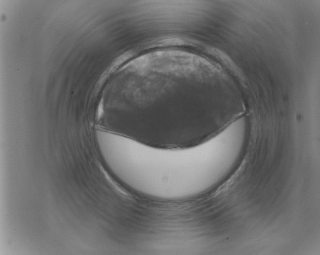 X0000075901225200610151808