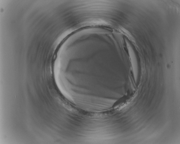 X0000075901226200610151808