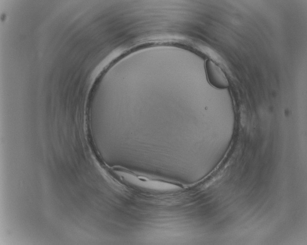 X0000075901229200610151808