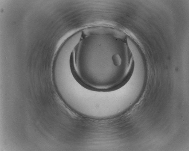 X0000075901230200610151808