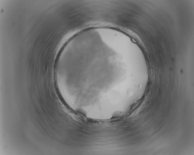 X0000075901231200610151808