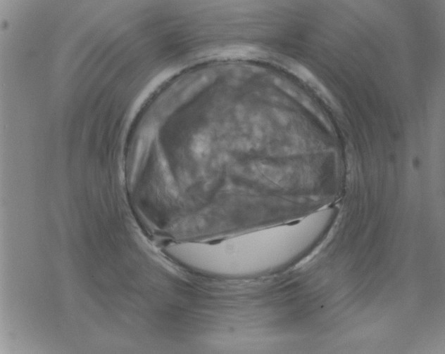 X0000075901232200610151808