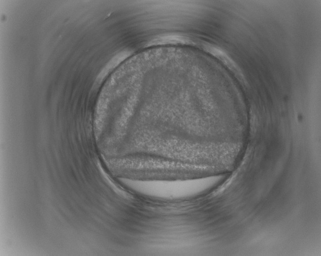 X0000075901233200610151808