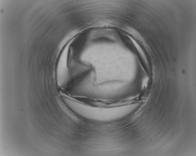 X0000075901234200610151808