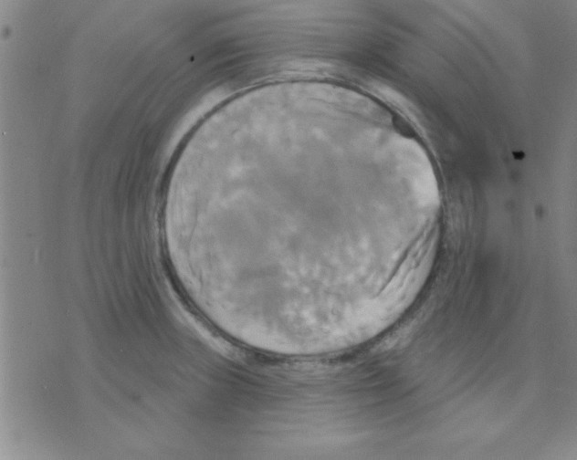 X0000075901235200610151808