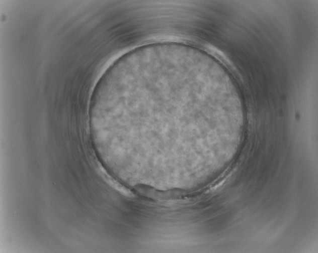 X0000075901236200610151808