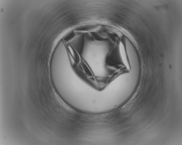 X0000075901238200610151808