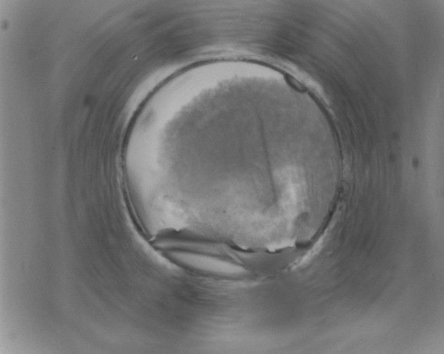 X0000075901239200610151808