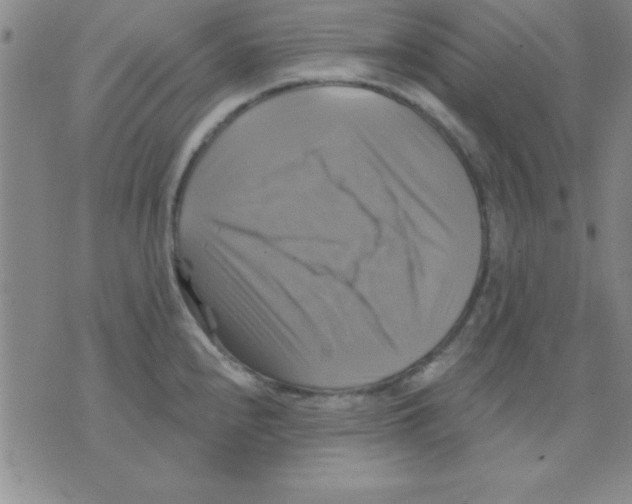 X0000075901240200610151808