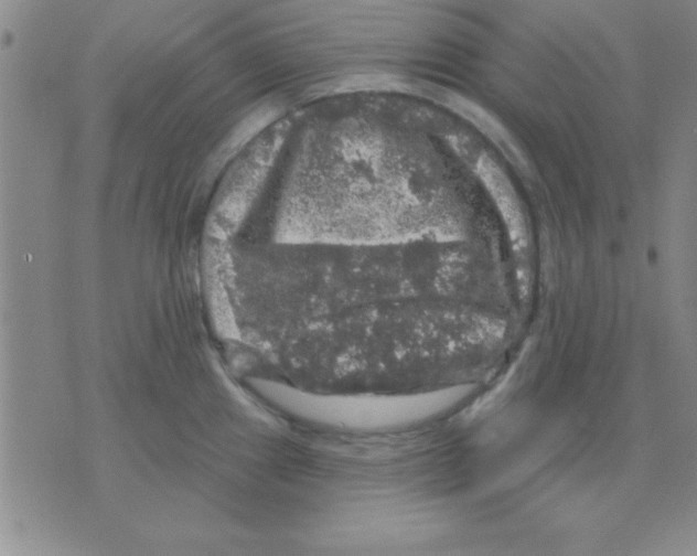 X0000075901241200610151808