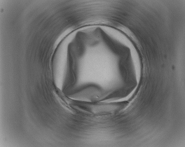 X0000075901242200610151808