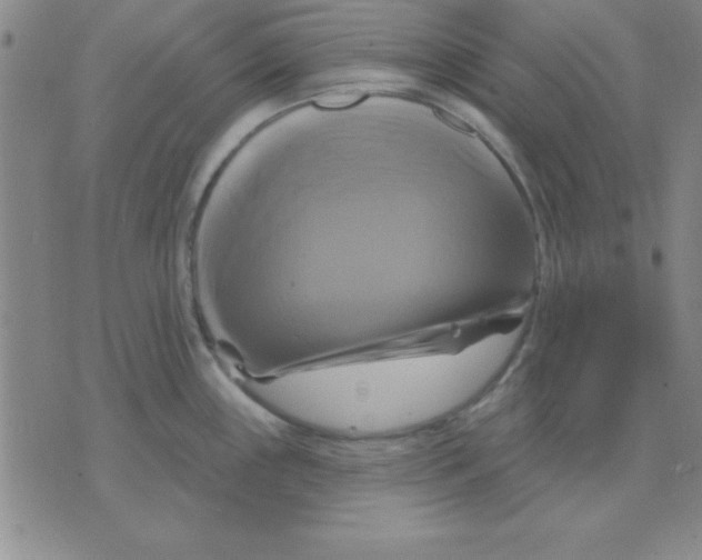 X0000075901243200610151808