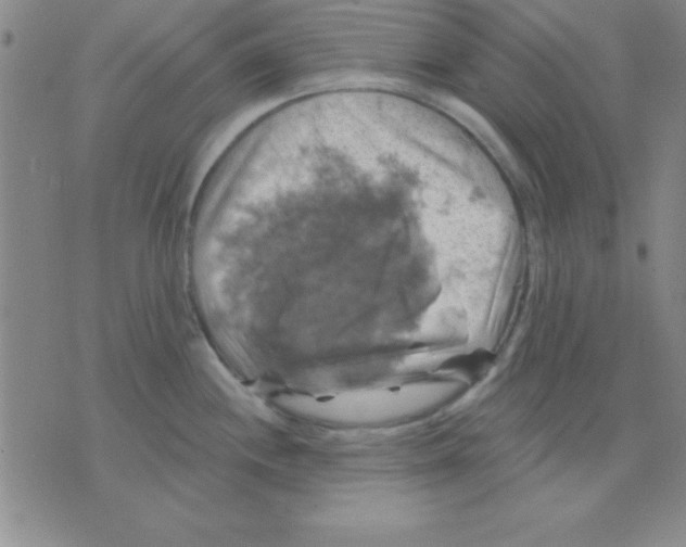 X0000075901244200610151808