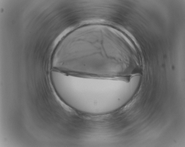 X0000075901245200610151808